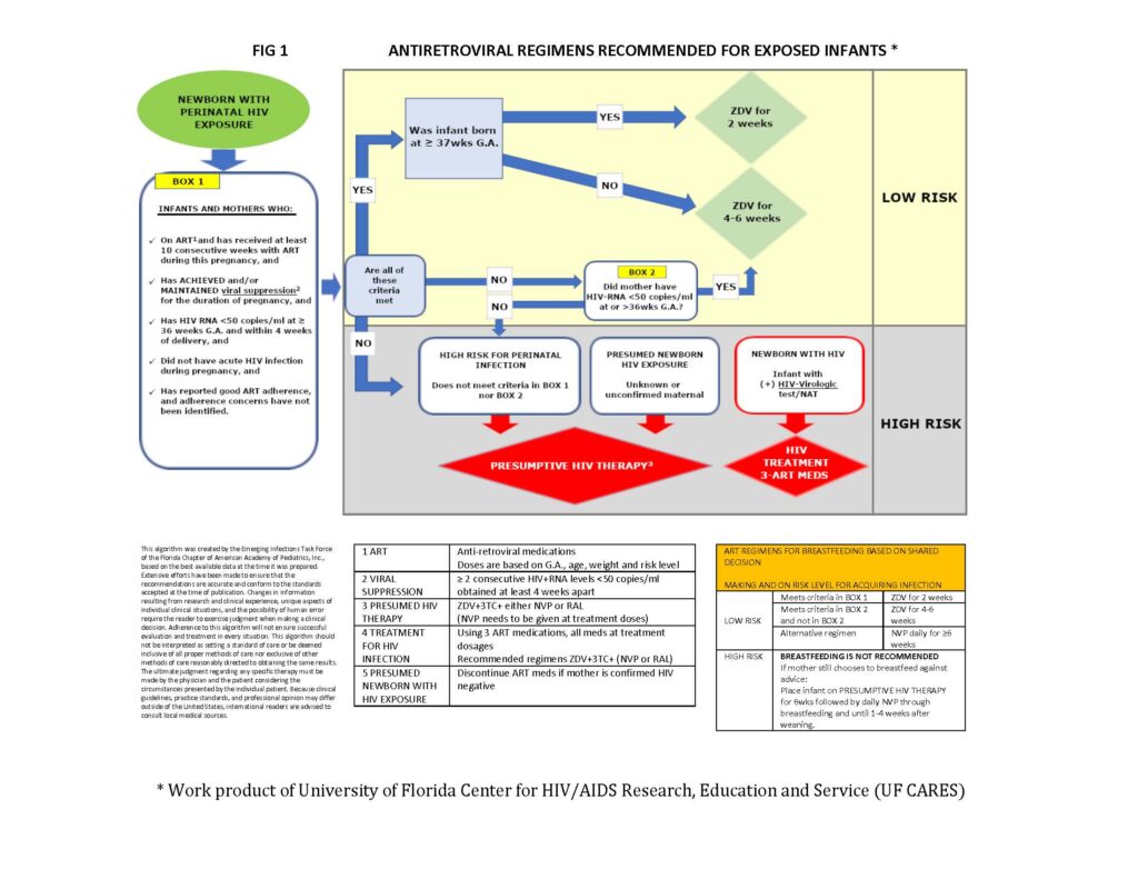 hiv-exposed-infant-breastfeeding-algorithm-florida-chapter-american